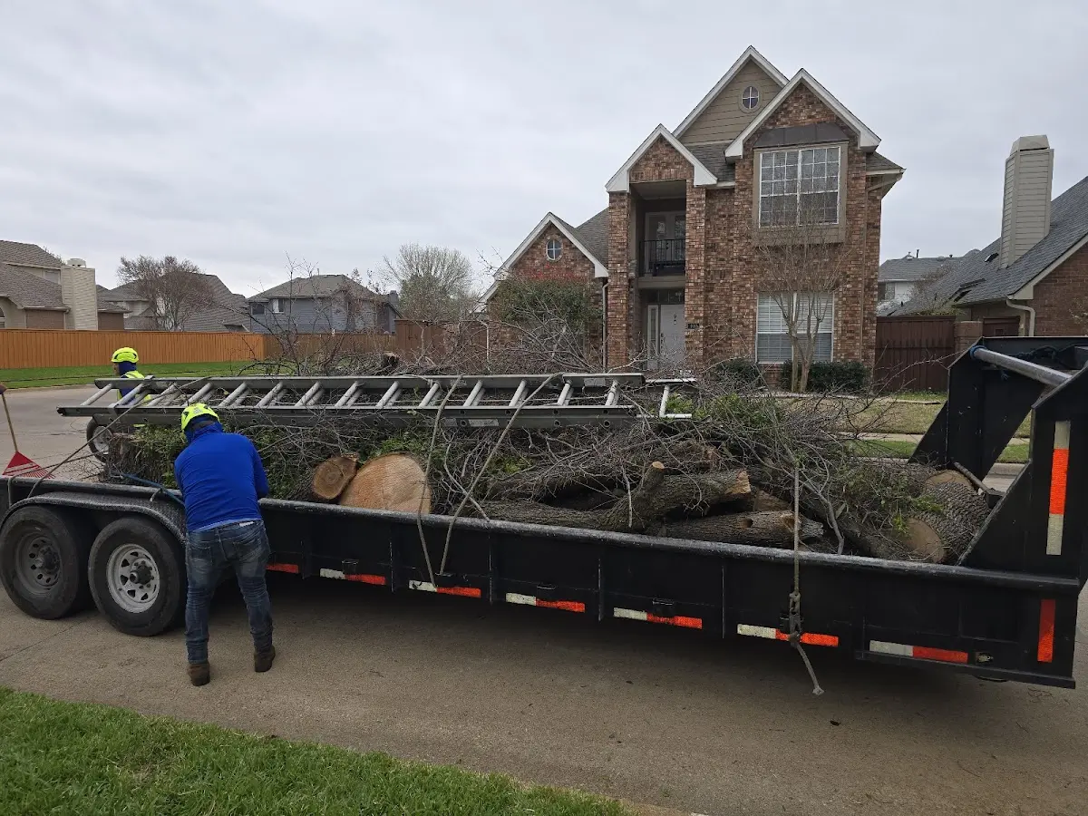 Expert Tree Removal with proper safety equipment in Jones Mills